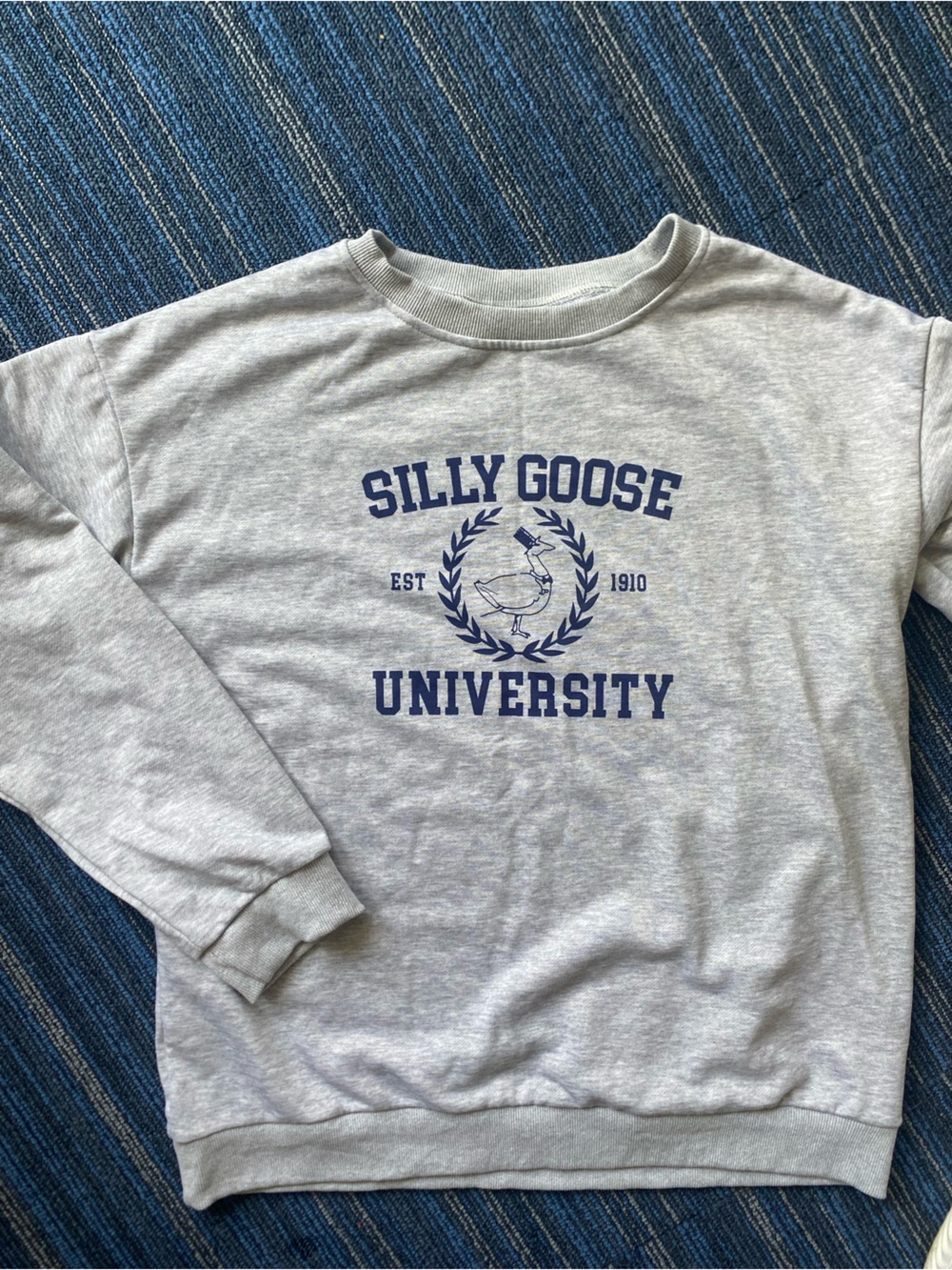 University Gray Crewneck Sweatshirt